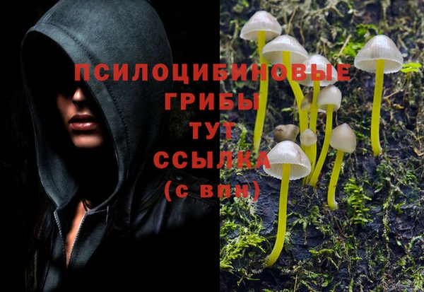 героин Куйбышев