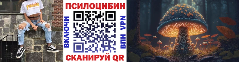 Галлюциногенные грибы Psilocybe  Купить где  Мыски 